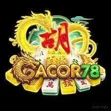 resmi78